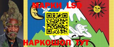 гидропоника Гагарин