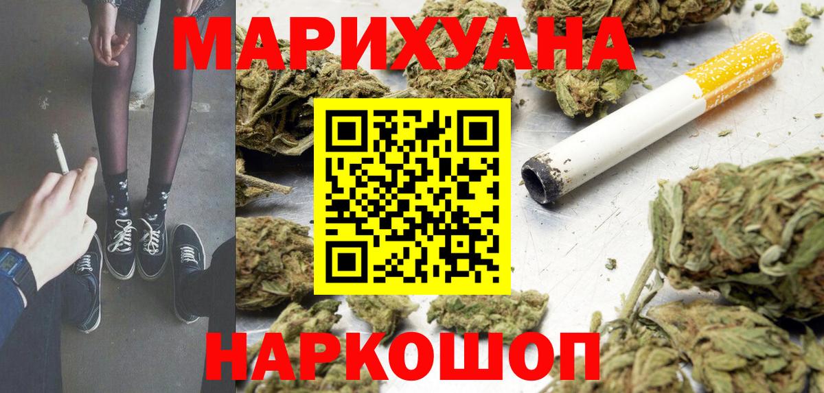 Каннабис сатива Назрань